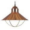 Kenroy Home Harbour Pendant Lamp Copper -Kenroy Home SHOP unnamed file 184