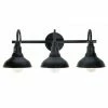 Kenroy Home Rustic 3-Light Vanity Wall Light Black -Kenroy Home SHOP unnamed file 29